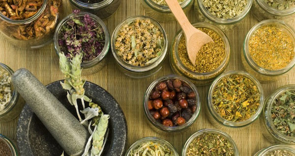 Erbe officinali